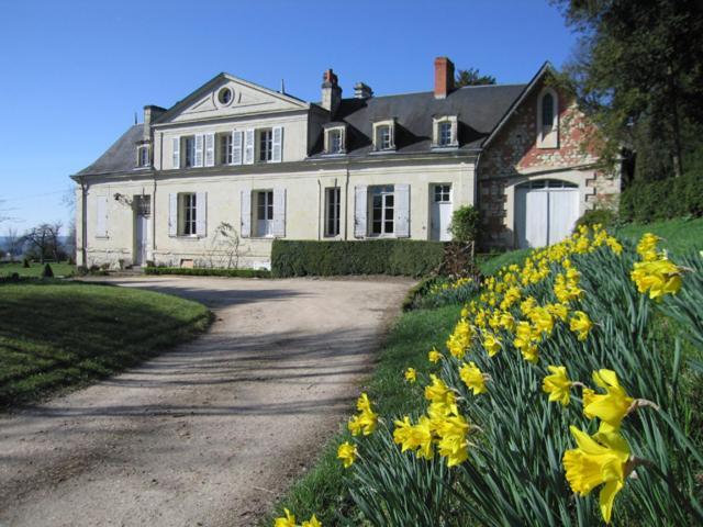 Thuré Chambres D'Hotes Le Chateau De La Plante المظهر الخارجي الصورة