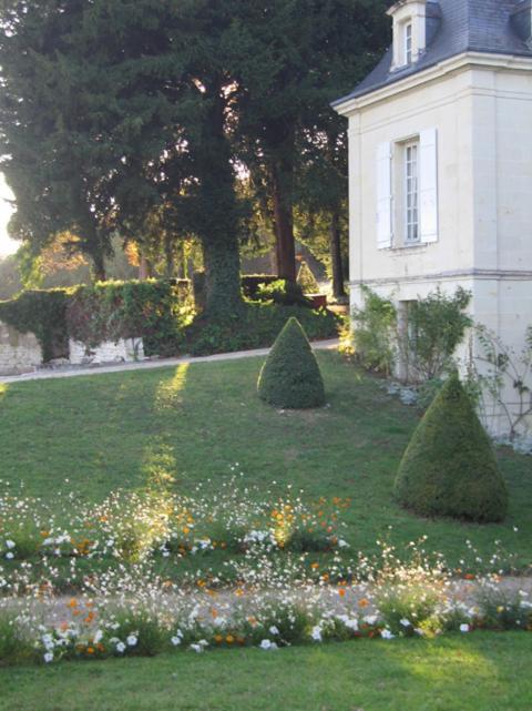 Thuré Chambres D'Hotes Le Chateau De La Plante المظهر الخارجي الصورة