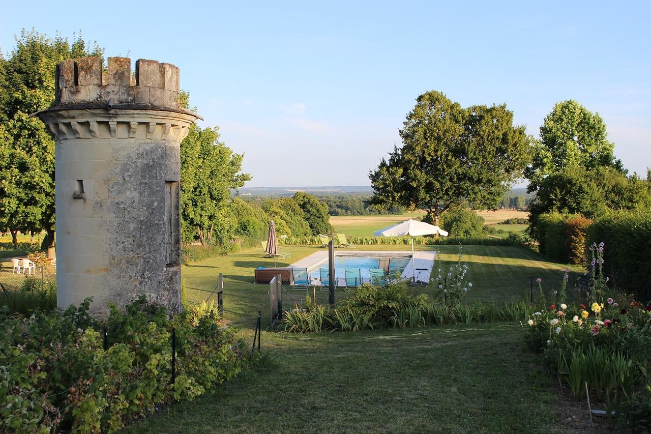 Thuré Chambres D'Hotes Le Chateau De La Plante المظهر الخارجي الصورة
